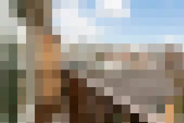 Dahliastraat 44 Veenendaal thumbnail 30