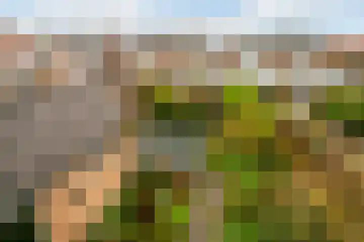 Dahliastraat 44 Veenendaal thumbnail 31