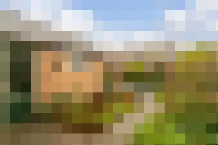 Dahliastraat 44 Veenendaal thumbnail 32
