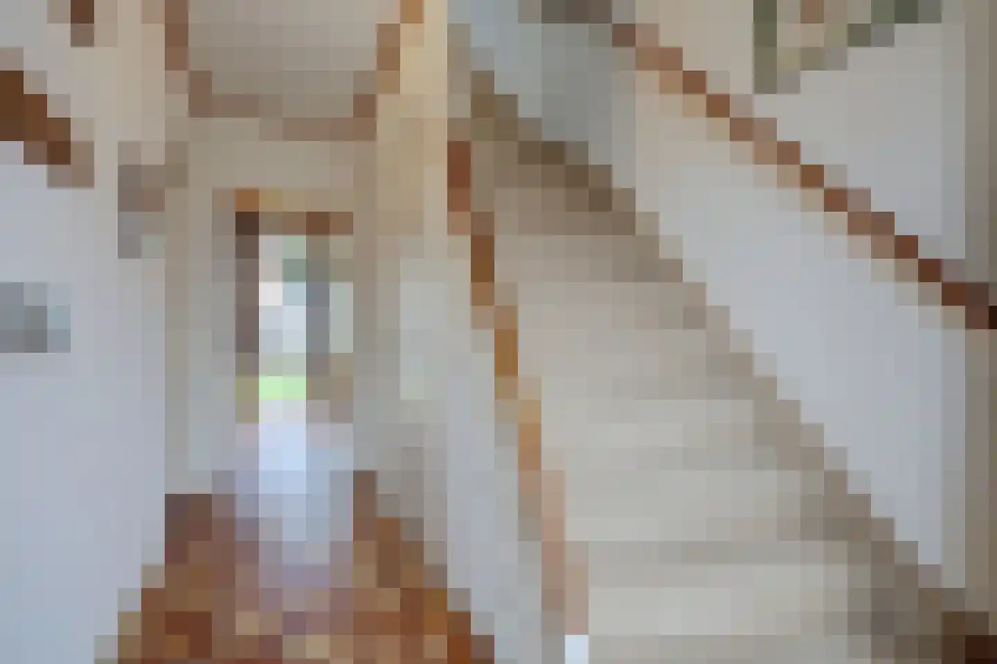 Dahliastraat 45 Rozenburg thumbnail 13