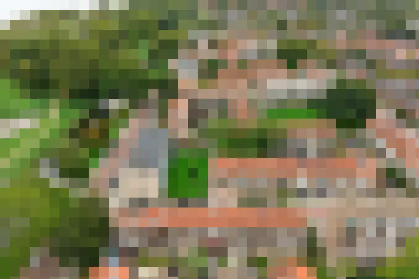 Dahliastraat 45 Rozenburg thumbnail 37
