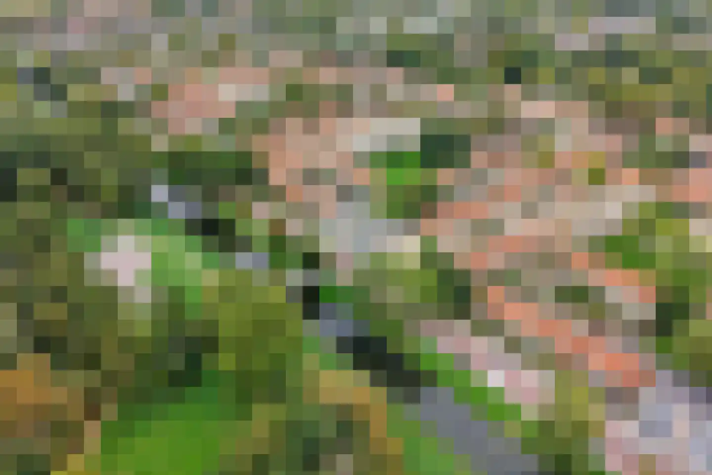 Dahliastraat 45 Rozenburg thumbnail 38