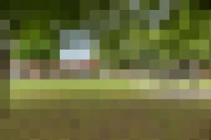 Dahliastraat 48 Enschede thumbnail 32