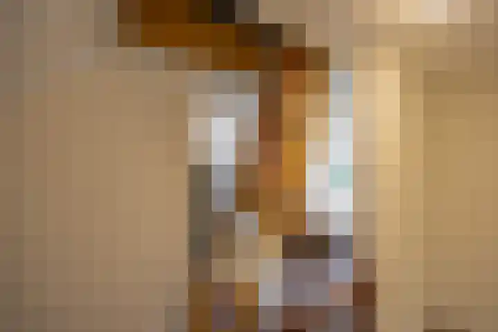 Dahliastraat 5 Groningen thumbnail 22