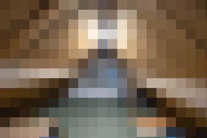 Dahliastraat 5 Groningen thumbnail 24