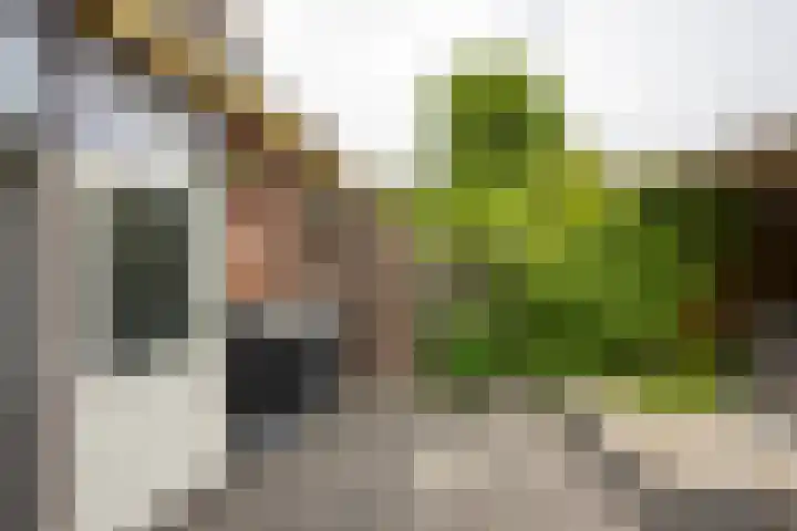 Dahliastraat 5 Groningen thumbnail 26