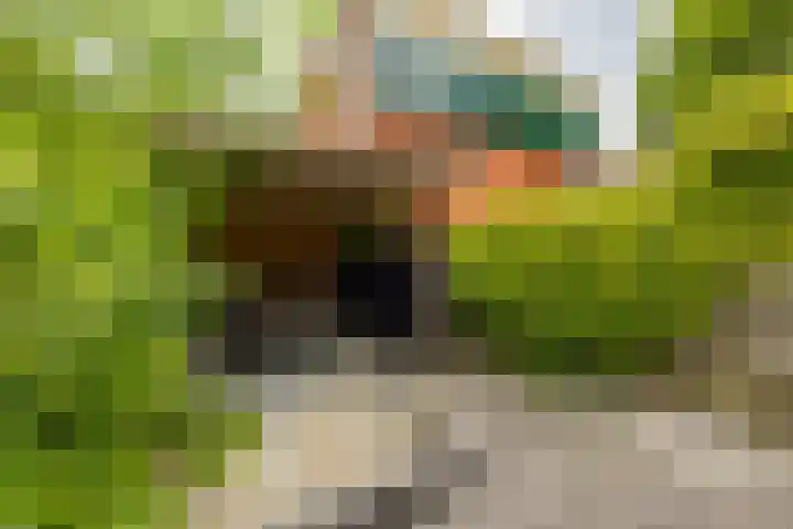 Dahliastraat 5 Groningen thumbnail 27