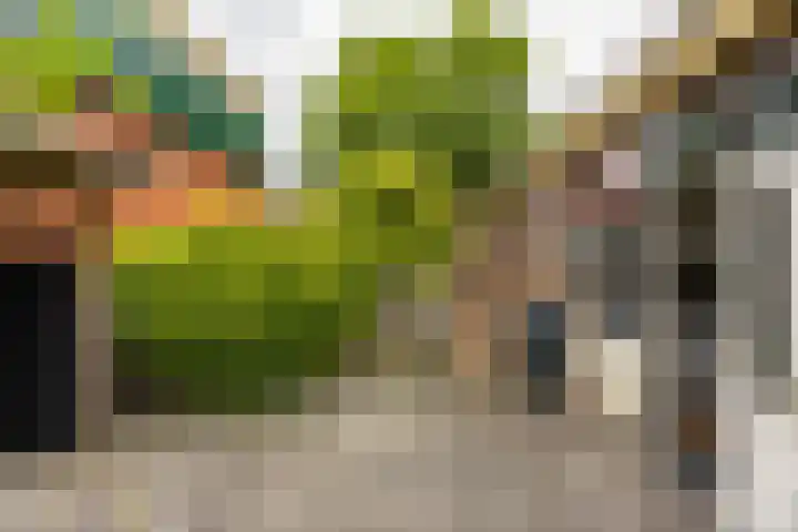 Dahliastraat 5 Groningen thumbnail 28
