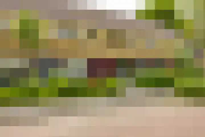Dahliastraat 5 Groningen thumbnail 29