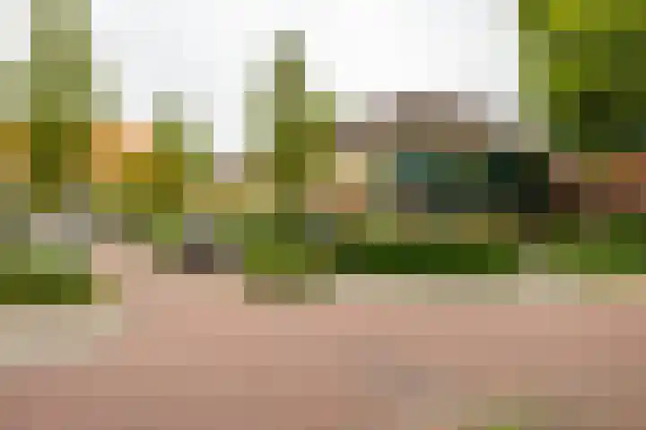 Dahliastraat 5 Groningen thumbnail 30