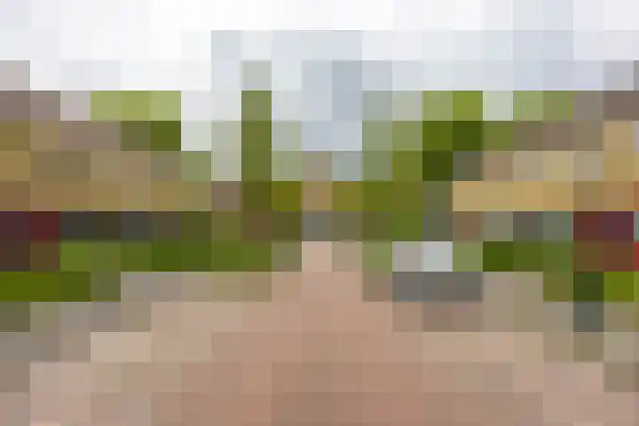 Dahliastraat 5 Groningen thumbnail 31