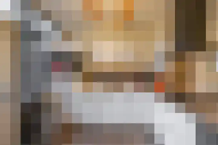 Dahliastraat 5 Groningen thumbnail 9