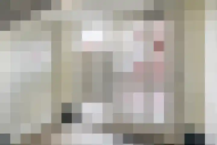 Dahliastraat 5 Rozenburg thumbnail 11