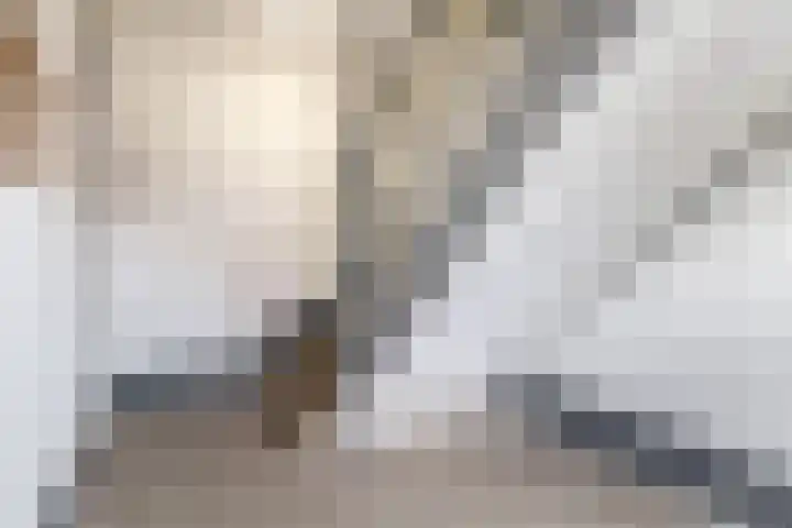 Dahliastraat 5 Rozenburg thumbnail 12
