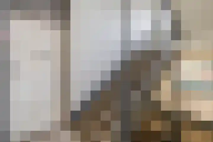 Dahliastraat 5 Rozenburg thumbnail 13