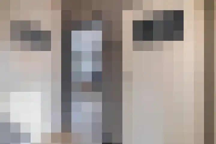 Dahliastraat 5 Rozenburg thumbnail 14