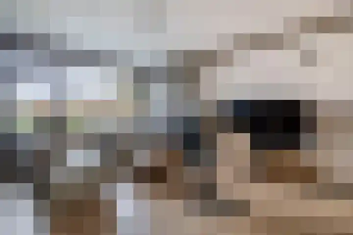 Dahliastraat 5 Rozenburg thumbnail 15