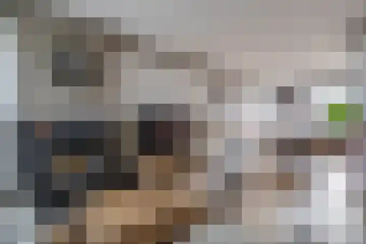 Dahliastraat 5 Rozenburg thumbnail 16