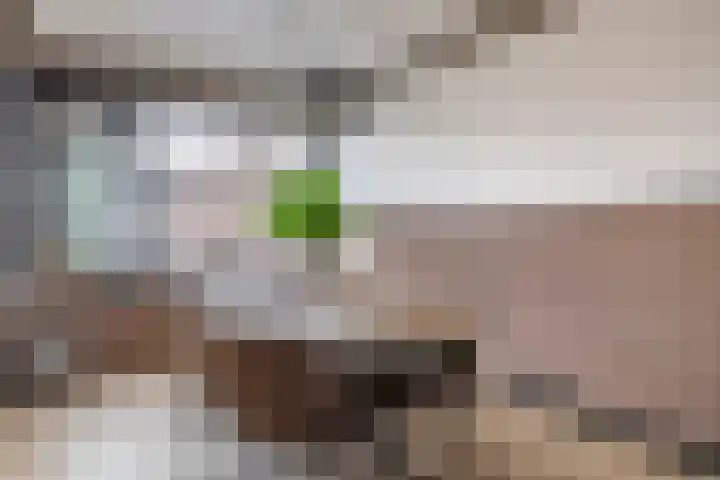 Dahliastraat 5 Rozenburg thumbnail 17