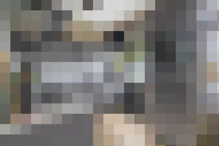 Dahliastraat 5 Rozenburg thumbnail 19