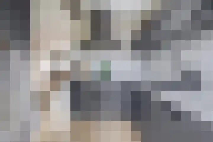 Dahliastraat 5 Rozenburg thumbnail 20