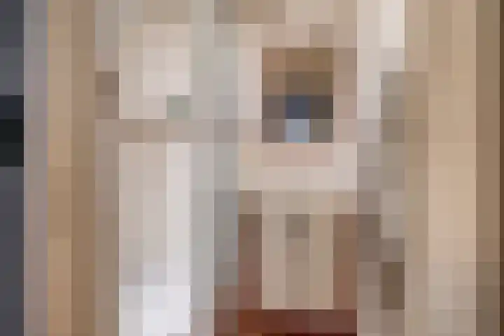 Dahliastraat 5 Rozenburg thumbnail 23