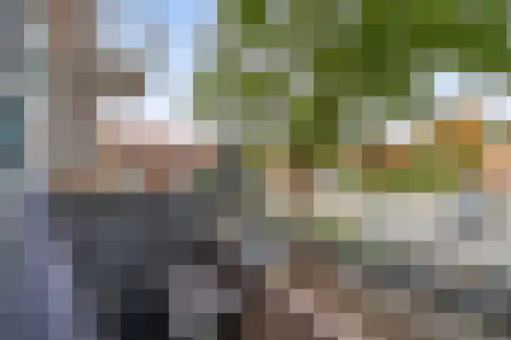 Dahliastraat 5 Rozenburg thumbnail 26