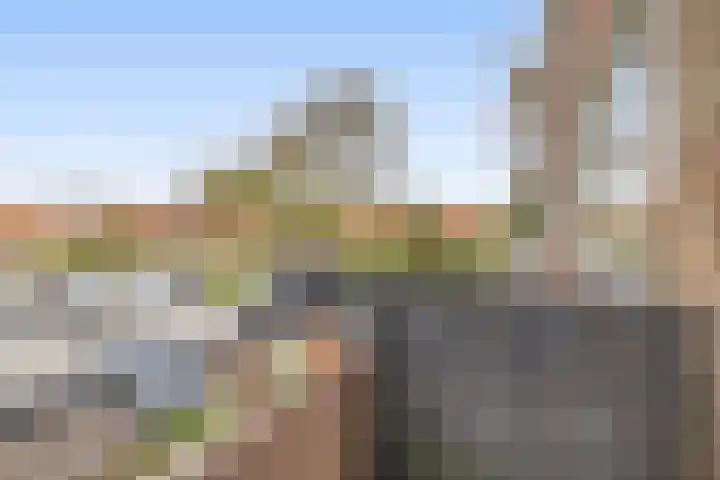 Dahliastraat 5 Rozenburg thumbnail 27