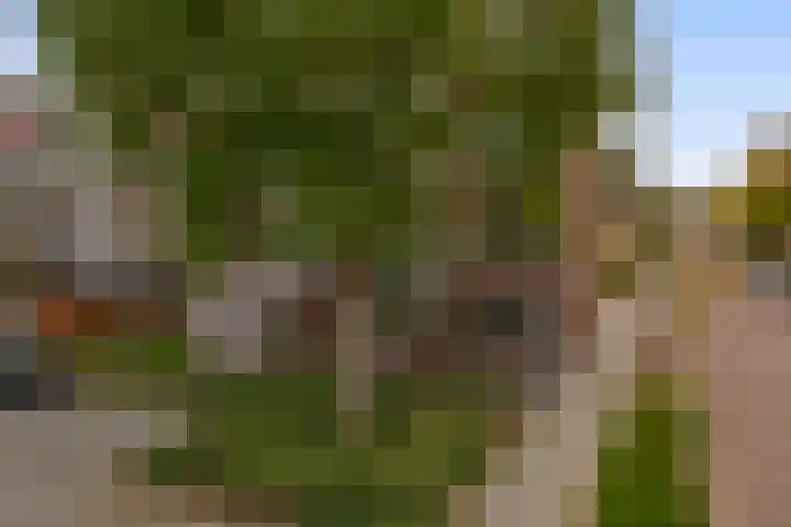 Dahliastraat 5 Rozenburg thumbnail 29