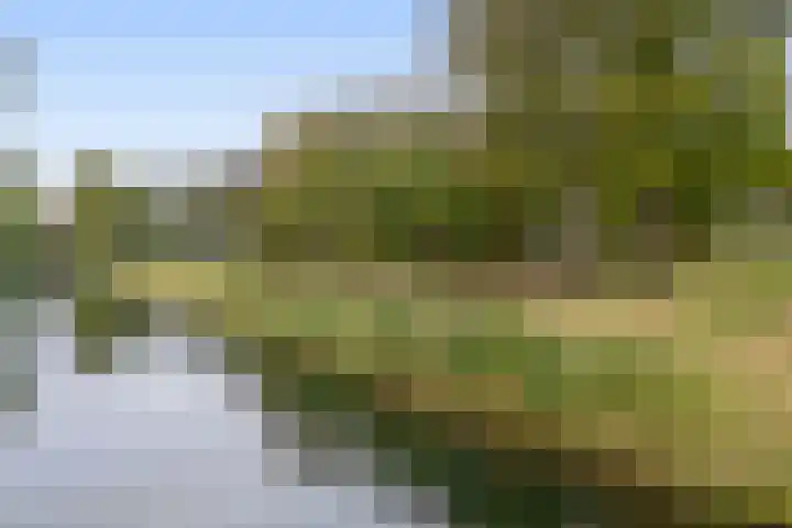 Dahliastraat 5 Rozenburg thumbnail 30