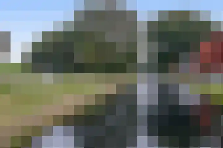 Dahliastraat 5 Rozenburg thumbnail 31
