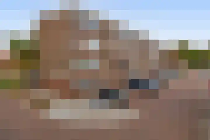Dahliastraat 5 Rozenburg thumbnail 5