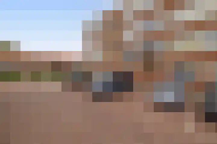 Dahliastraat 5 Rozenburg thumbnail 6