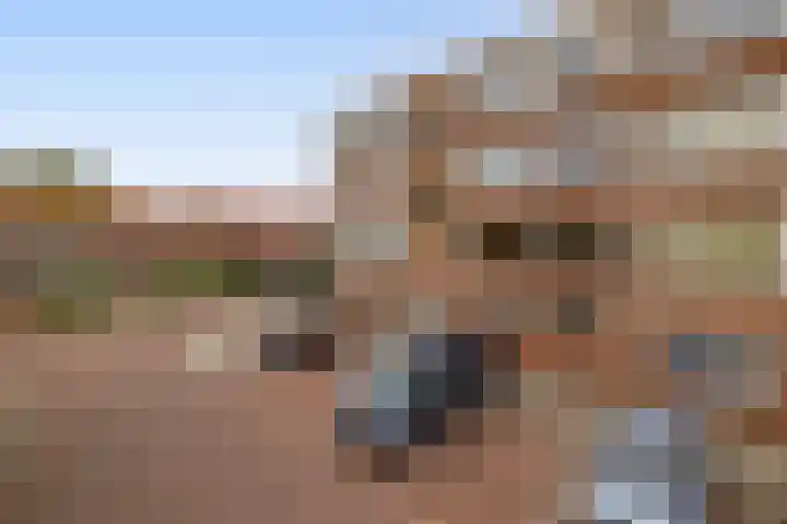 Dahliastraat 5 Rozenburg thumbnail 7