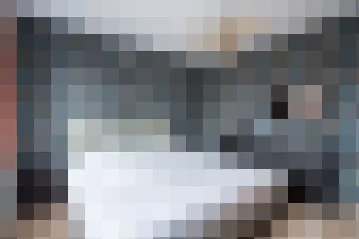 Dahliastraat 5 Weert thumbnail 33