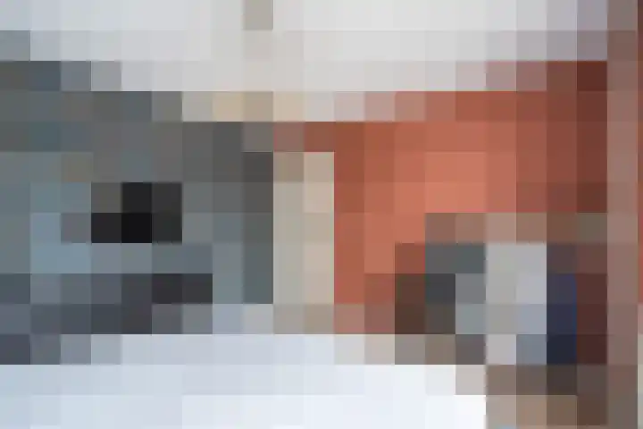 Dahliastraat 5 Weert thumbnail 34