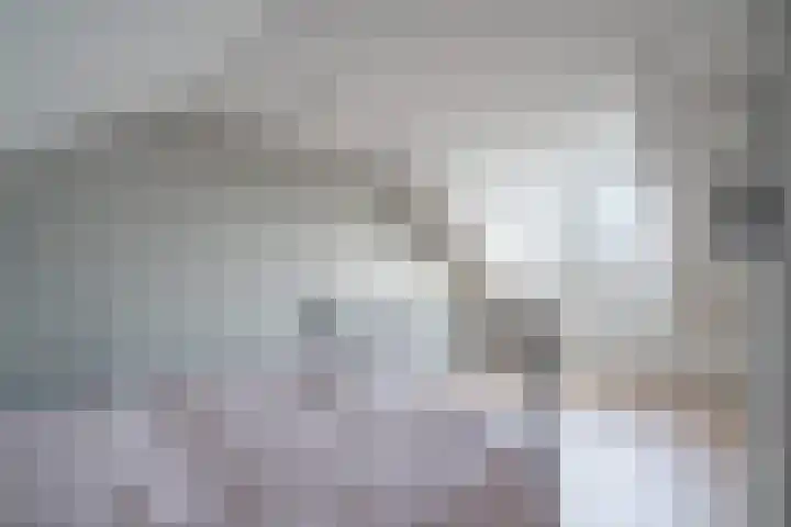 Dahliastraat 5 Weert thumbnail 39