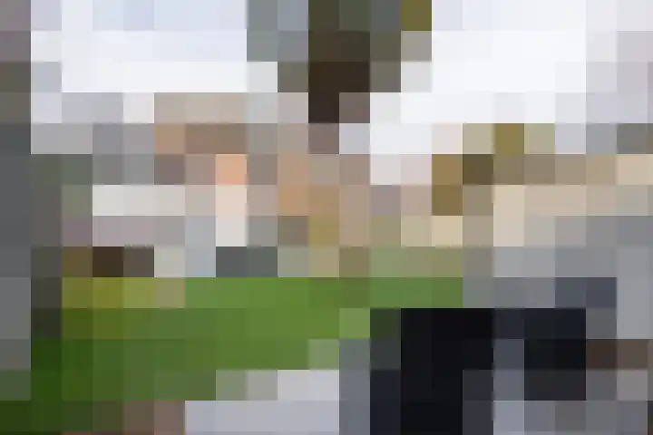 Dahliastraat 5 Weert thumbnail 49