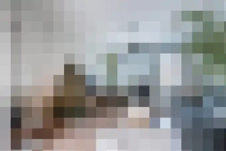 Dahliastraat 5 Weert thumbnail 5