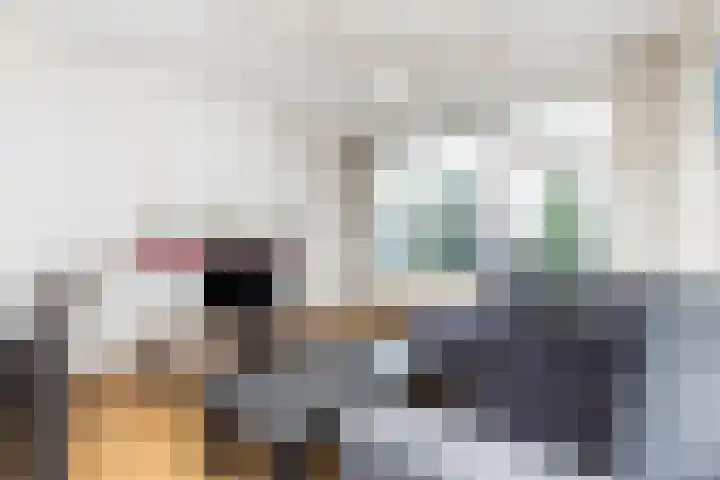Dahliastraat 50 Zwijndrecht thumbnail 6
