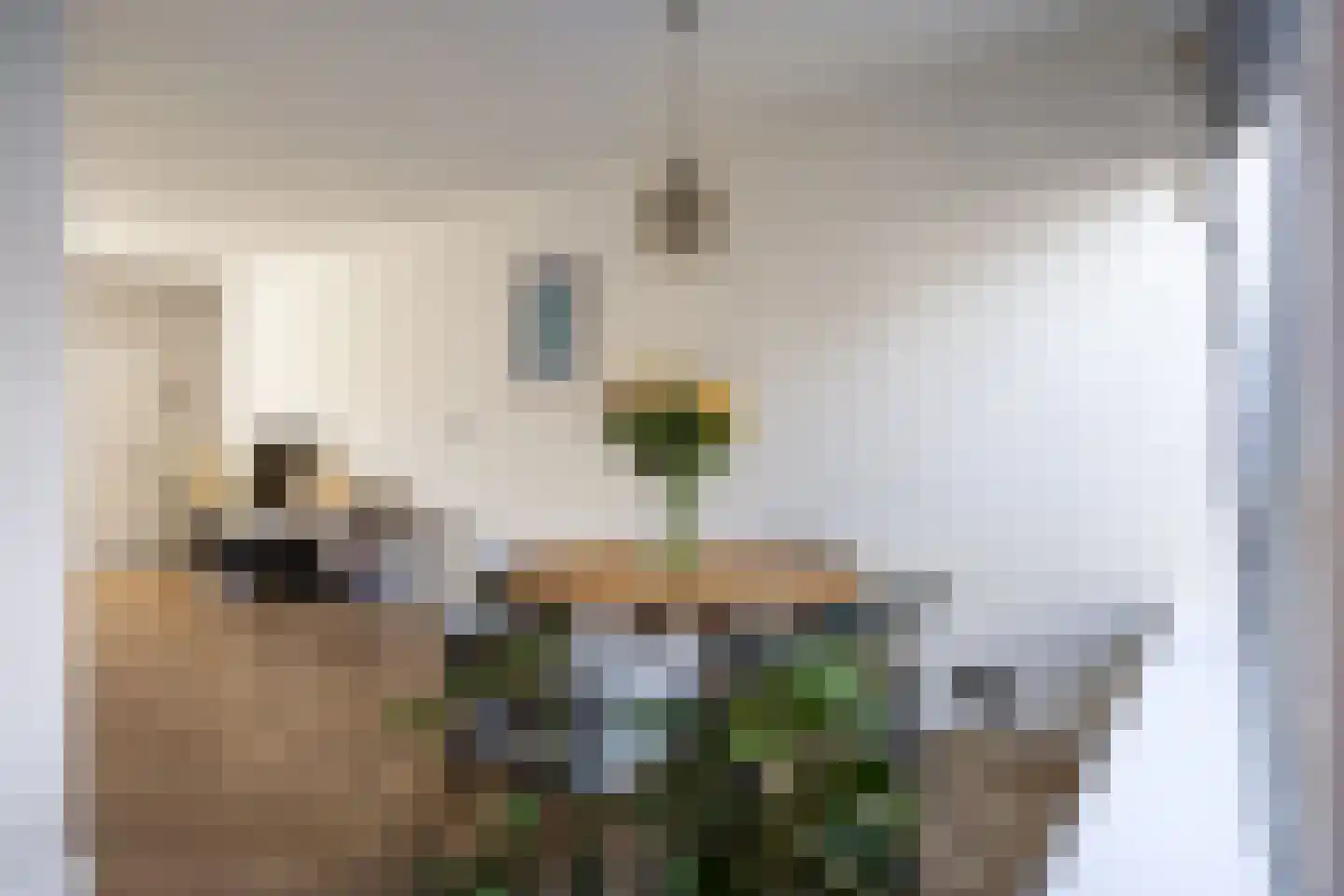 Dahliastraat 51 Winsum thumbnail 17