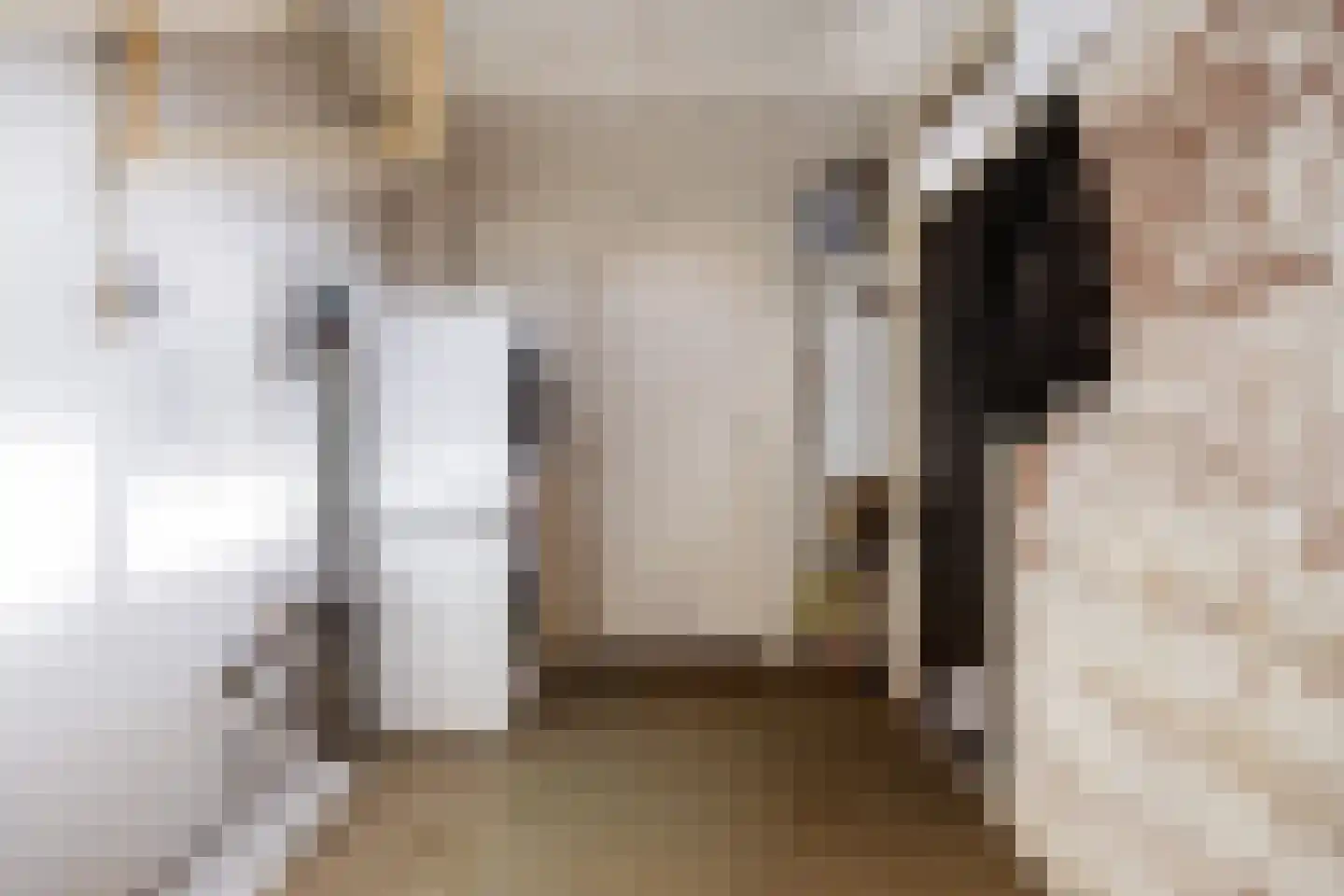 Dahliastraat 51 Winsum thumbnail 24