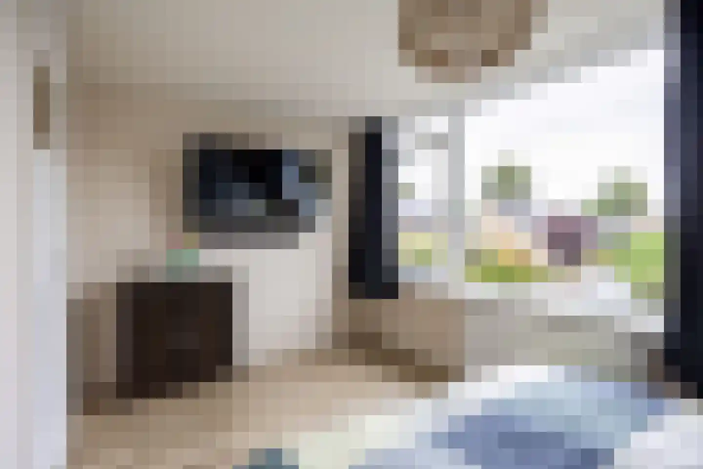 Dahliastraat 51 Winsum thumbnail 30