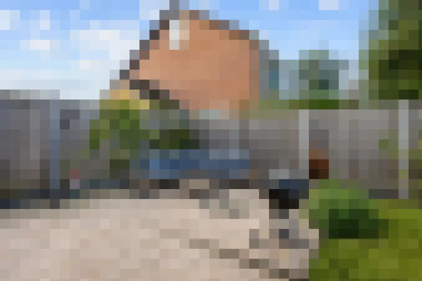 Dahliastraat 51 Winsum thumbnail 47