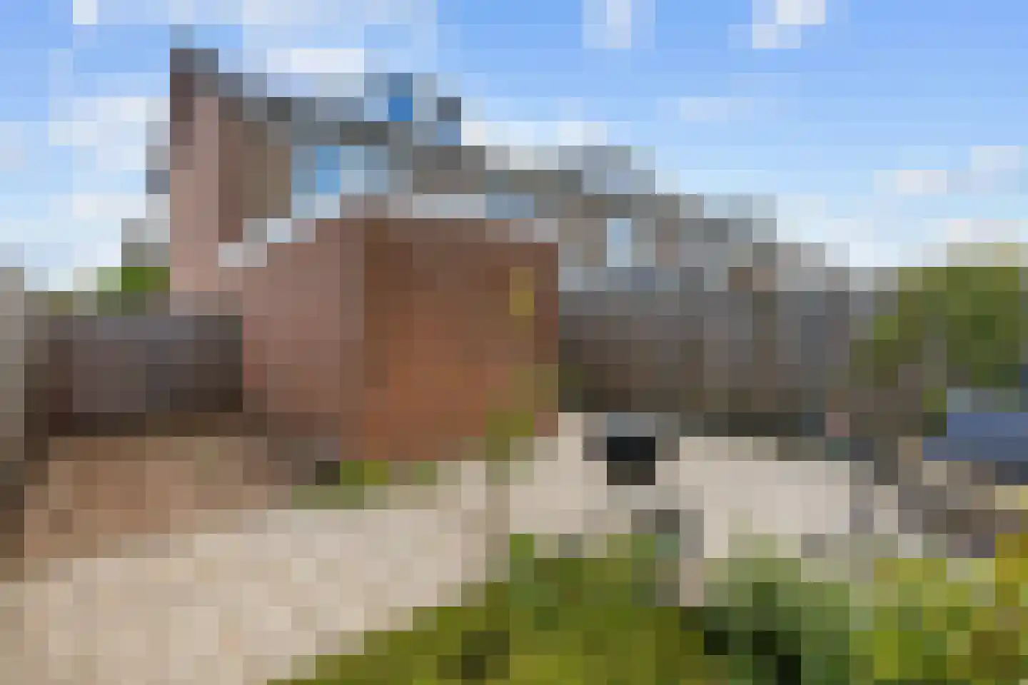 Dahliastraat 51 Winsum thumbnail 49