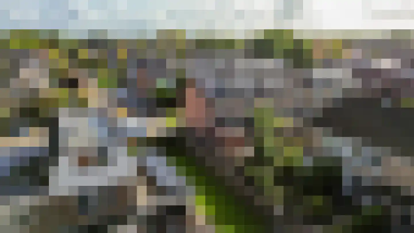 Dahliastraat 51 Winsum thumbnail 50