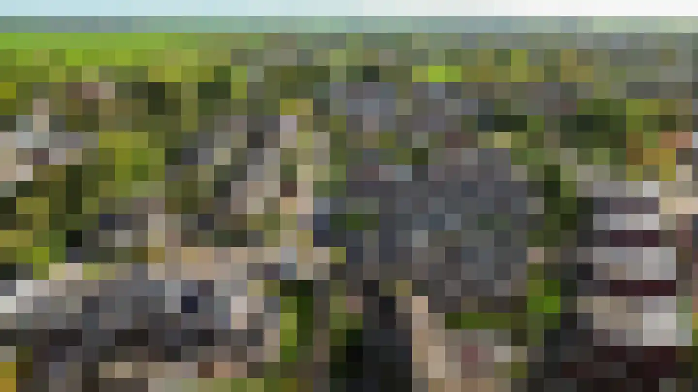Dahliastraat 51 Winsum thumbnail 53