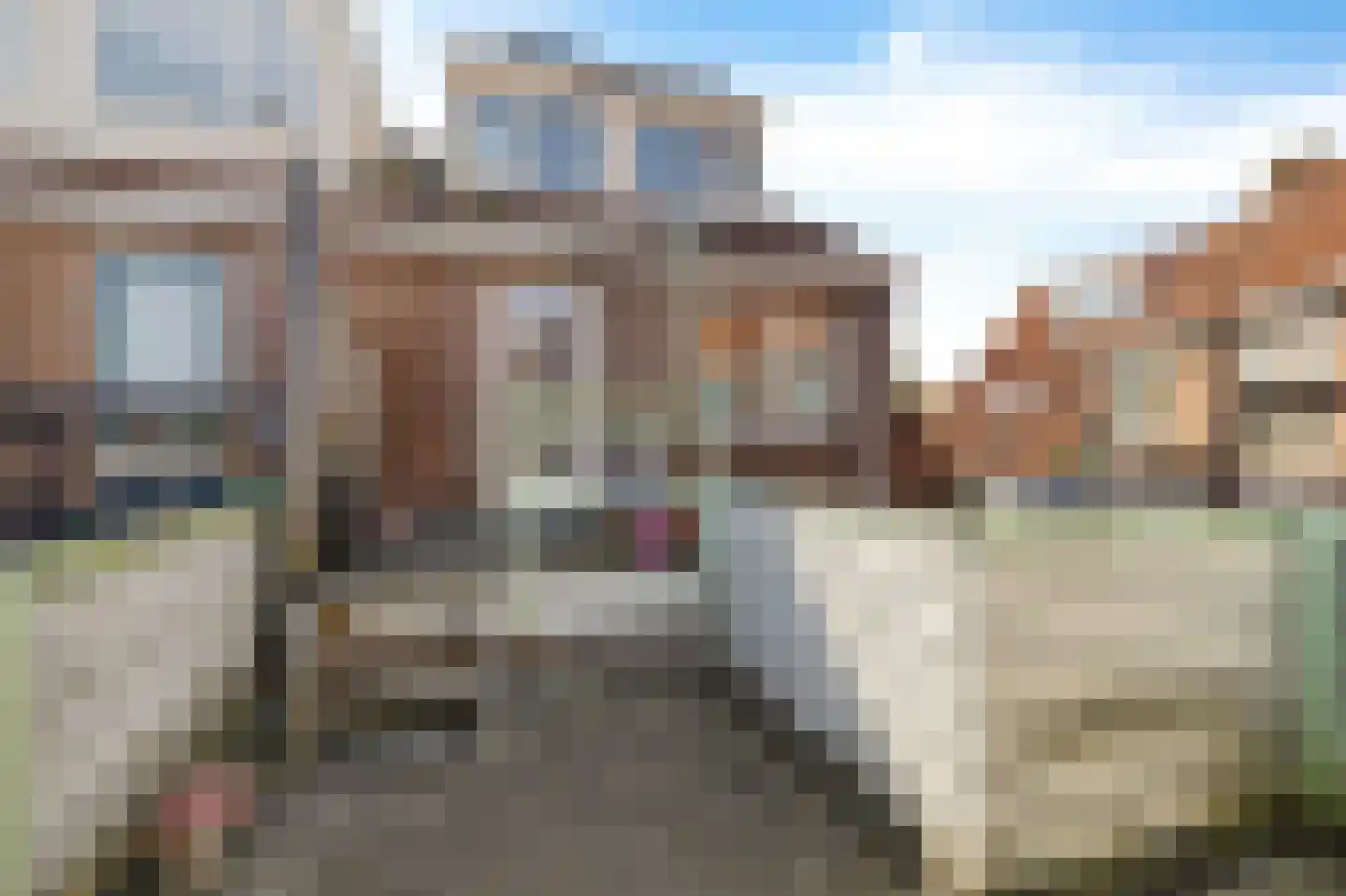 Dahliastraat 52 Leeuwarden thumbnail 25