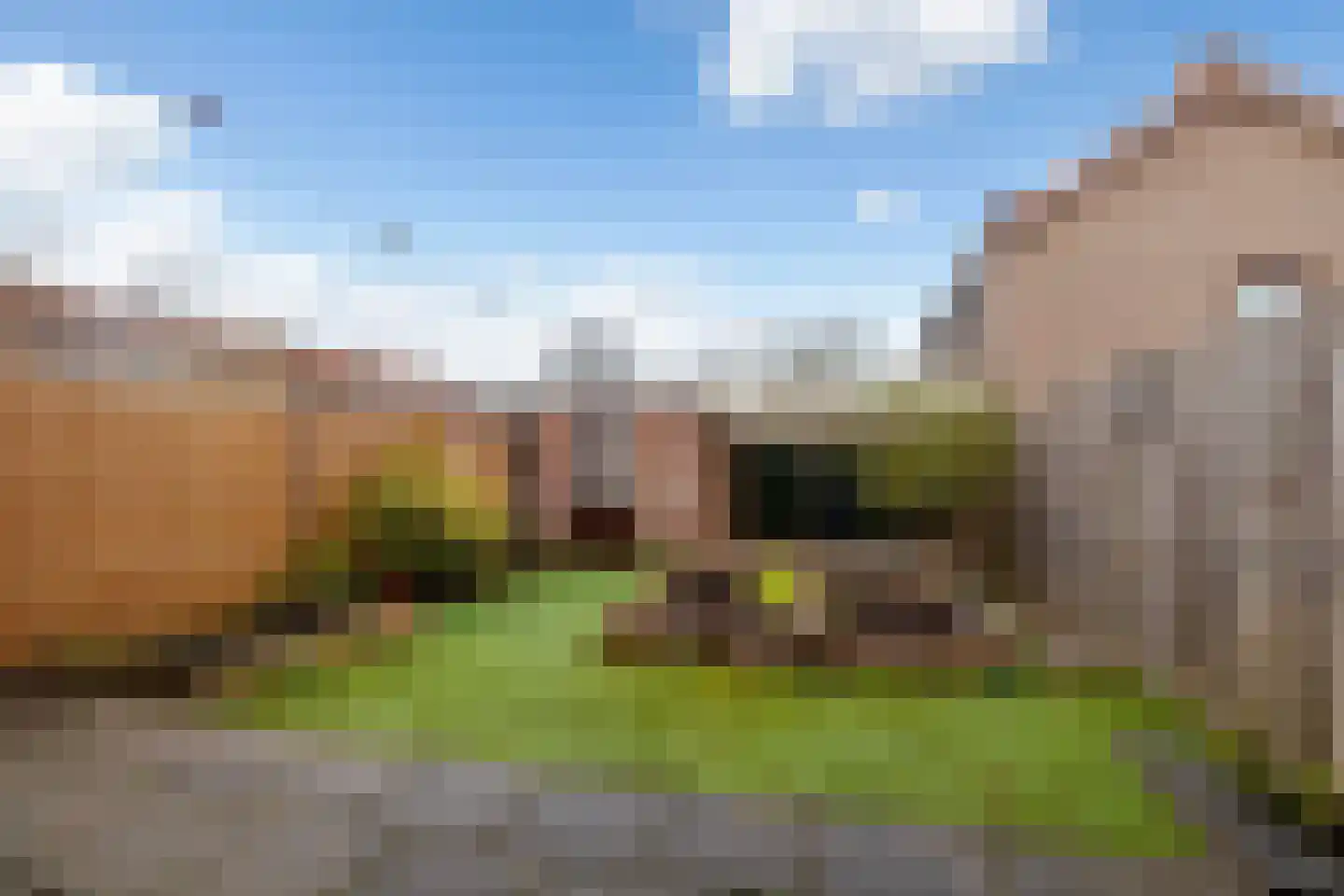 Dahliastraat 53 Rozenburg thumbnail 10