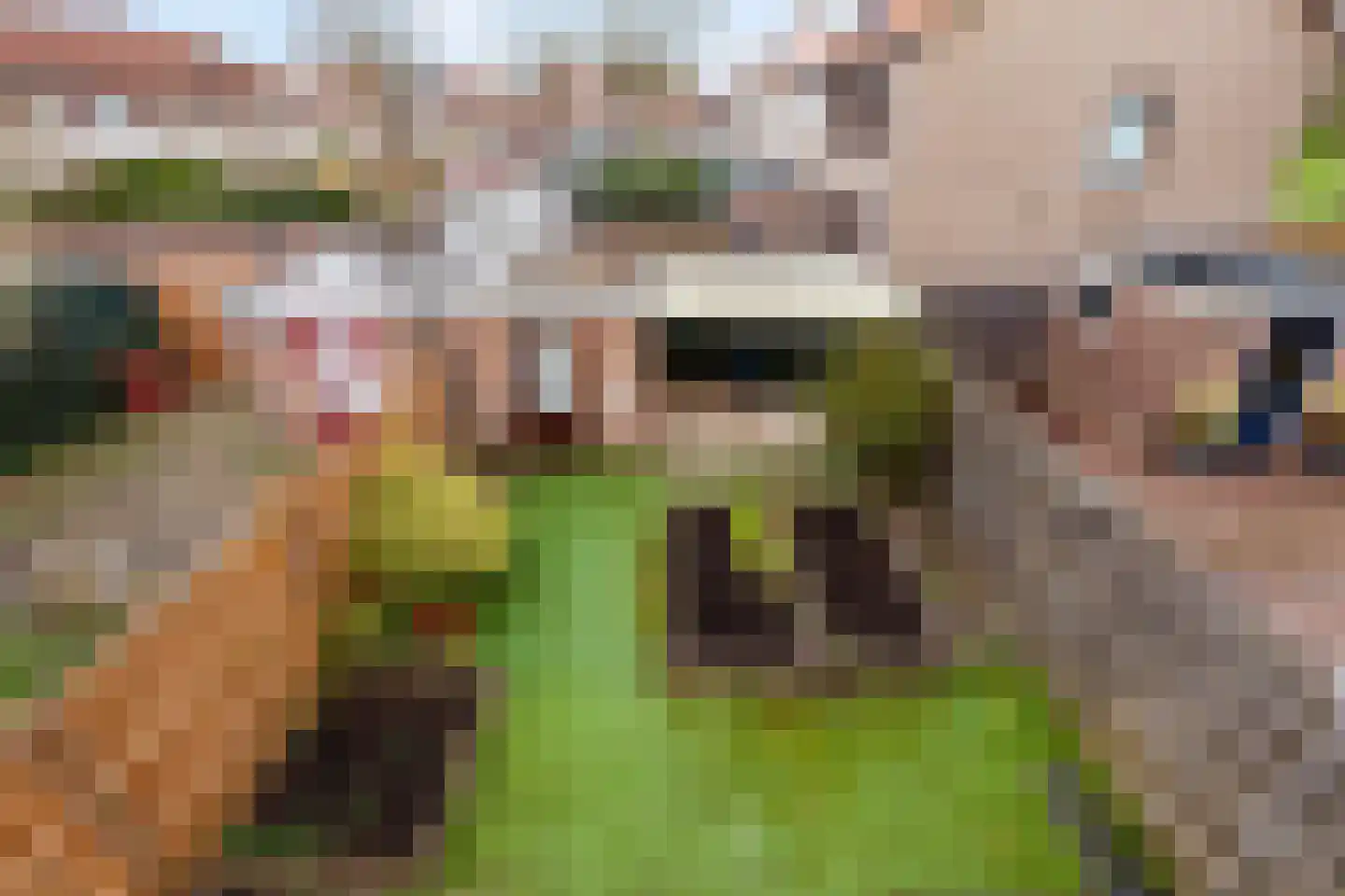 Dahliastraat 53 Rozenburg thumbnail 13